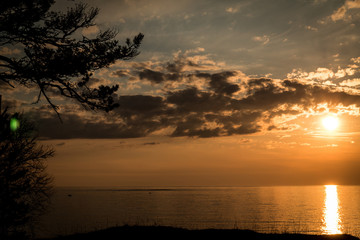 Fototapeta na wymiar sunset, ocean, tree