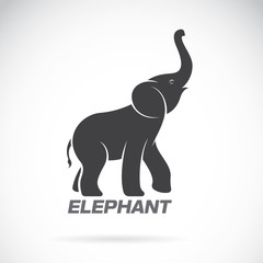 Obraz premium Vector of an elephant design on a white background. Animals.