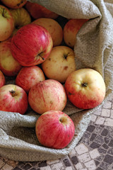 Rustic apples in a rough fabric bag. Natural rural products. Ecological fruits without pesticides and GMOs.