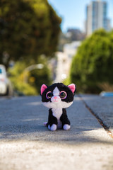 Cute soft toy in the streets of san francisco