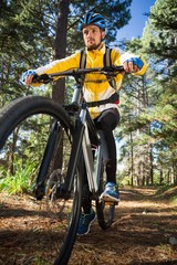 Male mountain biker riding bicycle in the forest