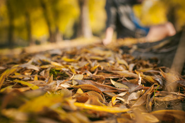 pretty blonde girl in sneakers, nylon stockings and coat. photographed on a smartphone selfie, sits on banks, on yellow leaves, enjoying warmth of autumn sun