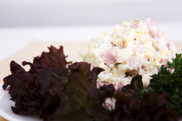 Beautiful tasty salad with lots of gradients on the table red onion greens
