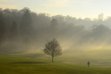 Golden Light rays and lone person walking