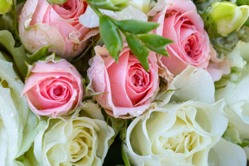 Wedding bouquet of white and pink roses. Drops on flowers. Floral background