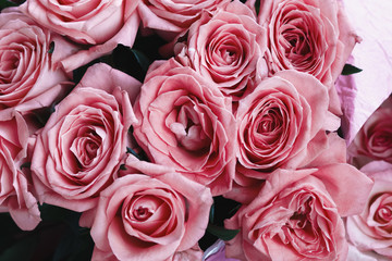 Obraz premium toned pink roses, image of flowers, floral background, top view