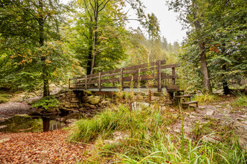 wooden bridge in nature