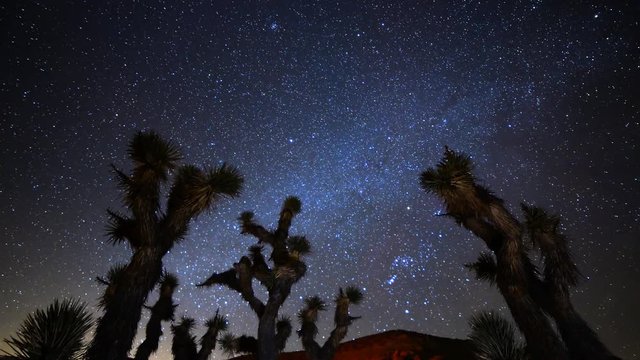 Astro Time Lapse of Constellation Orion Setting over Joshua Tree -Zoom In-