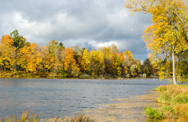 Fototapeta na wymiar Autumn landscape in the Park with a lake