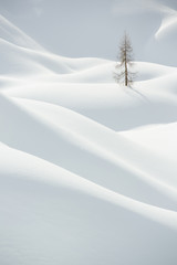 Fototapeta na wymiar Snow, winter mountain landscape, tree alone