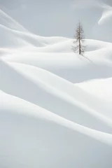 Fototapete Hügel Snow, winter mountain landscape, tree alone