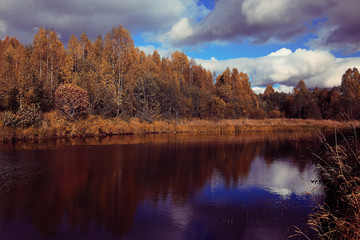 Fall forest landscape river amazing autumn background