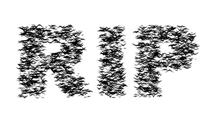 A flock of flying birds forms RIP - part of timelapse, stop motion, gif animation. Rest In Peace formed by birds.