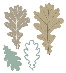 Oak Leaf