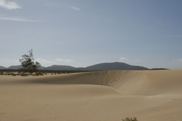 Natural-park, Corralejo , Fuerteventua, Canary Islands, Spain