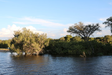 Shore of Sambesi River, Zambia Africa 