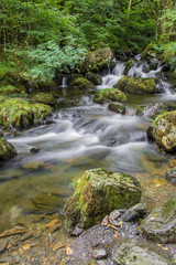 Stream of Dolgoch Falls
