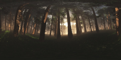 Naklejka premium Epical Magic Forest Sunset VR360