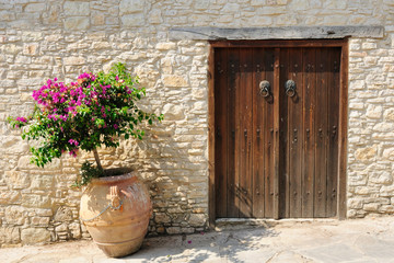 Gate and flower in pot on street in Omodos village, Cyprus