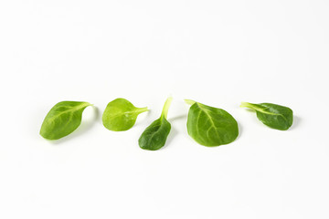 fresh corn salad leaves