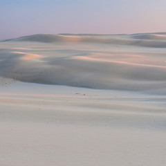 beautiful view of the coastal dunes