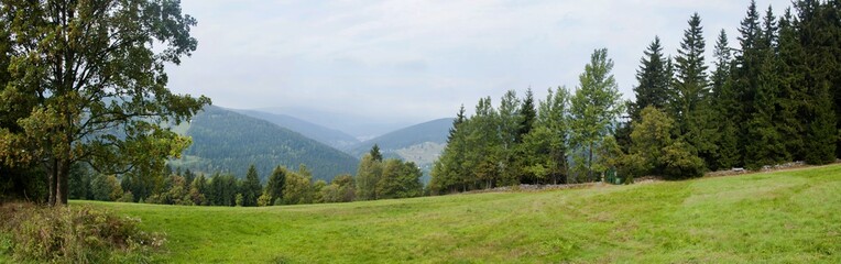 Fototapeta na wymiar Beautiful panorama of forest landscape
