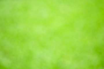 Green blurred background.