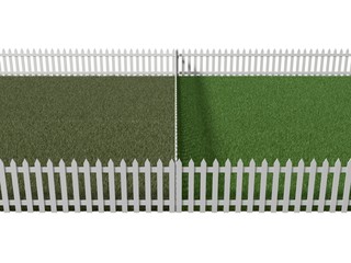 3d illustration of conceptual versus. neighbor's lawn versus you