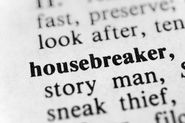 Obraz premium Housebreaker