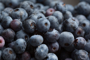 Blueberries closeup