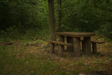 The table in the forest at the autumn meadow