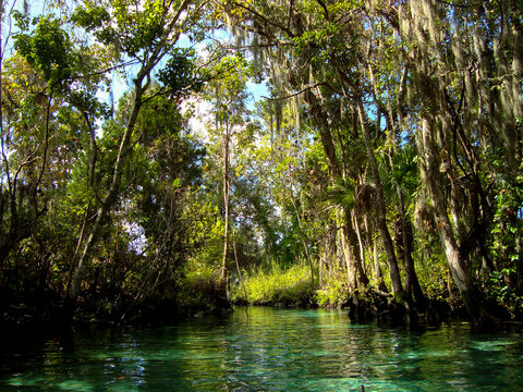 Excursion to the Crystal River