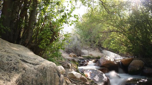 3 Axis Motion Control Time Lapse Of Alpine River Stream Through Trees -Top-