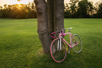 Fototapeta na wymiar Sport bicycle bicycle in the park