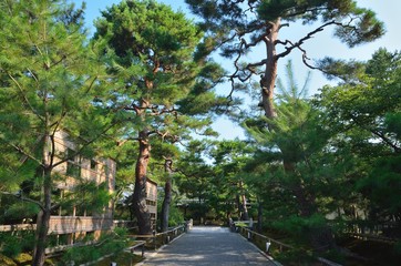 京都大覚寺参道