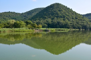 Fototapeta na wymiar 京都　広沢池