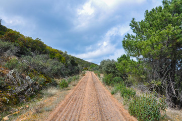 Fototapeta na wymiar Camino montañoso en el Valle de Alcudia, España