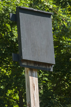 Wooden black painted bat shelter on wooden pole