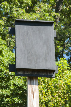 Wooden black painted bat shelter on wooden pole