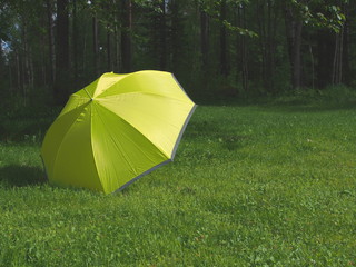 The yellow umbrella