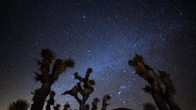 Astro Time Lapse of Constellation Orion Setting over Joshua Tree -Tilt Down-