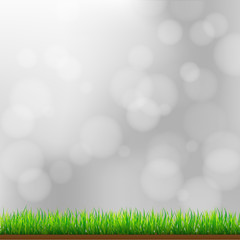 Obraz premium Natural Green Grass Background with Focus and Bokeh