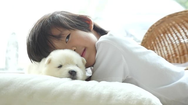 Cute asian child playing with siberian husky puppy..