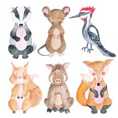 Woodland Animals Set of Watercolor Illustrations Cute Animals Forest