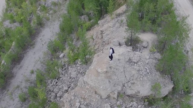 businessman stands on the mountain in his career