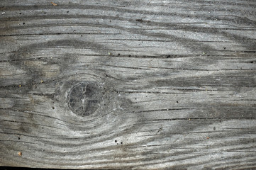 old pine wood texture