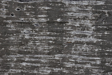 old pine wood texture