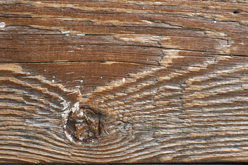 old pine wood texture