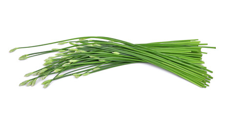 fresh chinese chives isolated on white