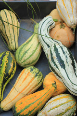 Thanksgiving decorations